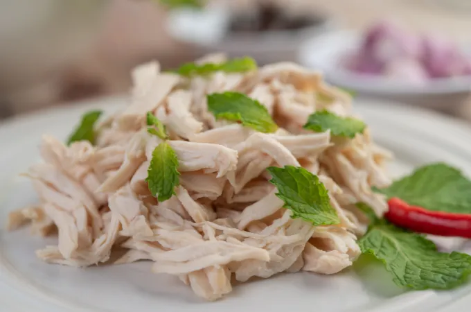 makanan protein untuk diet