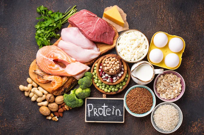 protein untuk diet
